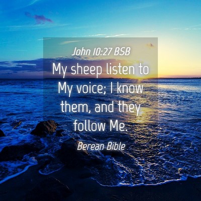 Picture 04 - John 10:27 BSB - My sheep listen to My voice; I know them, and - Bible Verse Picture