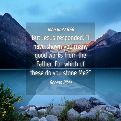 Picture 04 - John 10:32 BSB - But Jesus responded, “I have shown you many - Bible Verse Picture