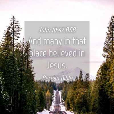 Picture 04 - John 10:42 BSB - And many in that place believed in - Bible Verse Picture