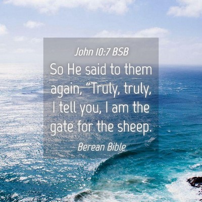 Picture 04 - John 10:7 BSB - So He said to them again, “Truly, truly, I tell - Bible Verse Picture