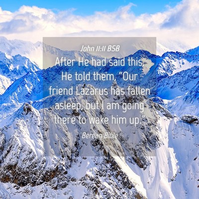 Picture 04 - John 11:11 BSB - After He had said this, He told them, “Our - Bible Verse Picture