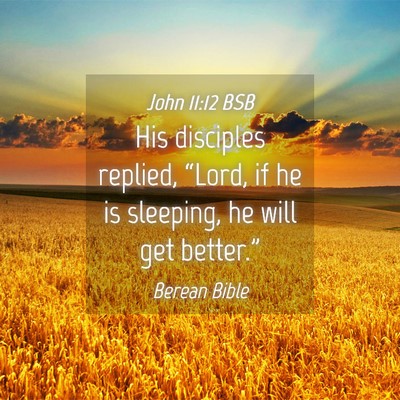 Picture 04 - John 11:12 BSB - His disciples replied, “Lord, if he is - Bible Verse Picture