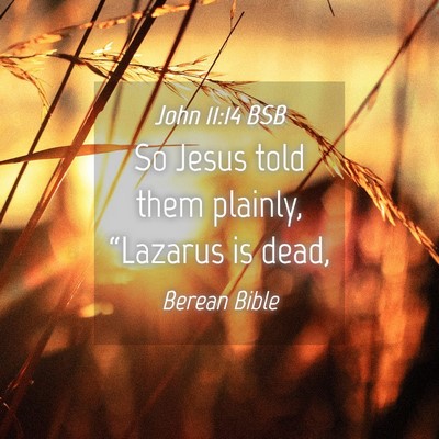 Picture 04 - John 11:14 BSB - So Jesus told them plainly, “Lazarus is - Bible Verse Picture