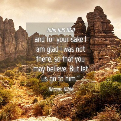 Picture 04 - John 11:15 BSB - and for your sake I am glad I was not there, so - Bible Verse Picture