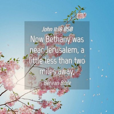Picture 04 - John 11:18 BSB - Now Bethany was near Jerusalem, a little less - Bible Verse Picture