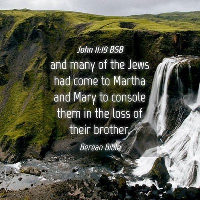 Picture 04 - John 11:19 BSB - and many of the Jews had come to Martha and Mary - Bible Verse Picture
