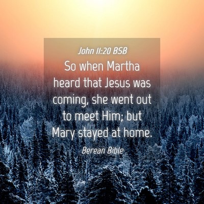Picture 04 - John 11:20 BSB - So when Martha heard that Jesus was coming, she - Bible Verse Picture