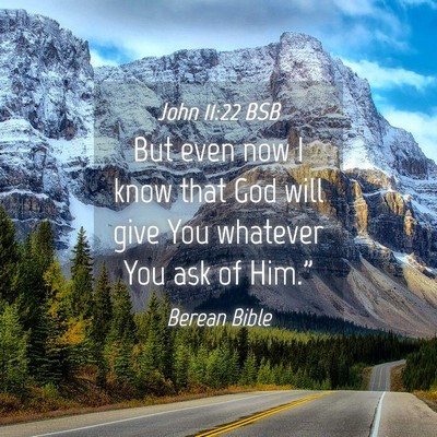 Picture 04 - John 11:22 BSB - But even now I know that God will give You - Bible Verse Picture
