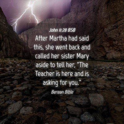 Picture 04 - John 11:28 BSB - After Martha had said this, she went back and - Bible Verse Picture