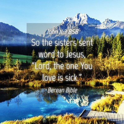 Picture 04 - John 11:3 BSB - So the sisters sent word to Jesus, “Lord, the - Bible Verse Picture