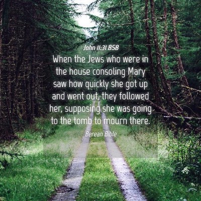 Picture 04 - John 11:31 BSB - When the Jews who were in the house consoling - Bible Verse Picture