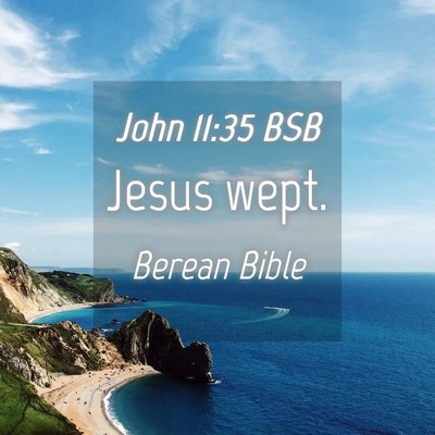 Picture 04 - John 11:35 BSB - Jesus - Bible Verse Picture