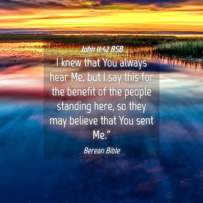 Picture 04 - John 11:42 BSB - I knew that You always hear Me, but I say this - Bible Verse Picture