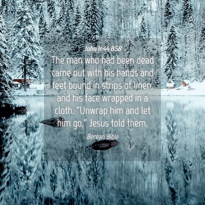 Picture 04 - John 11:44 BSB - The man who had been dead came out with his hands - Bible Verse Picture
