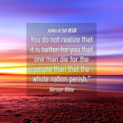 Picture 04 - John 11:50 BSB - You do not realize that it is better for you that - Bible Verse Picture
