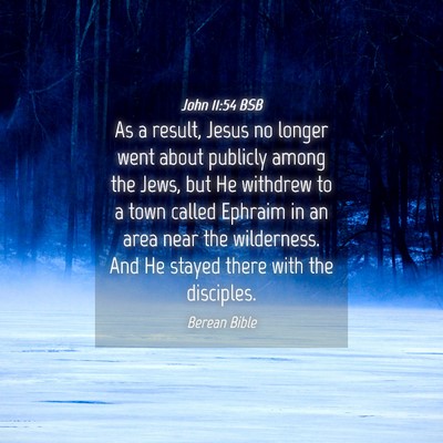 Picture 04 - John 11:54 BSB - As a result, Jesus no longer went about publicly - Bible Verse Picture