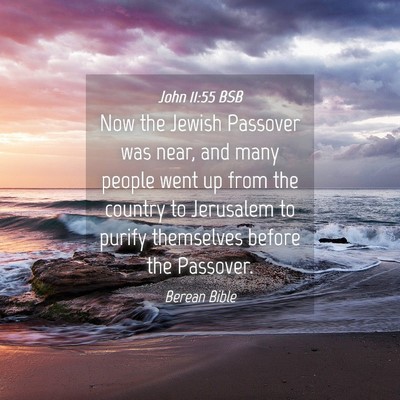 Picture 04 - John 11:55 BSB - Now the Jewish Passover was near, and many people - Bible Verse Picture