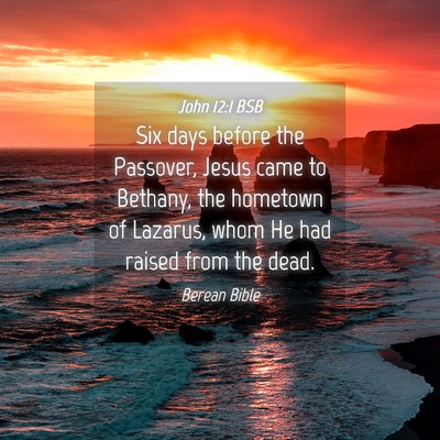 Picture 04 - John 12:1 BSB - Six days before the Passover, Jesus came to - Bible Verse Picture