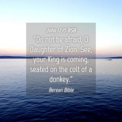 Picture 04 - John 12:15 BSB - “Do not be afraid, O Daughter of Zion. See, - Bible Verse Picture
