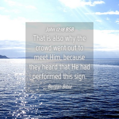 Picture 04 - John 12:18 BSB - That is also why the crowd went out to meet Him, - Bible Verse Picture