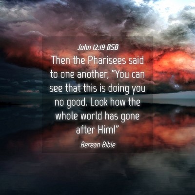Picture 04 - John 12:19 BSB - Then the Pharisees said to one another, “You - Bible Verse Picture
