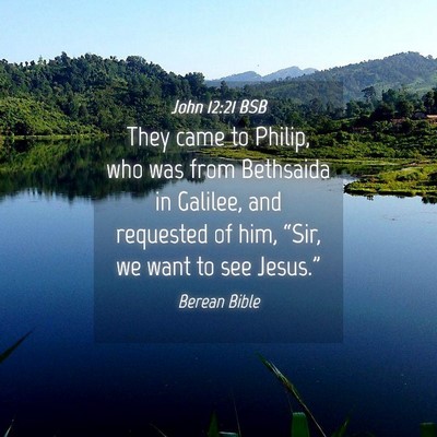 Picture 04 - John 12:21 BSB - They came to Philip, who was from Bethsaida in - Bible Verse Picture