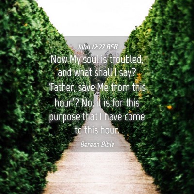 Picture 04 - John 12:27 BSB - Now My soul is troubled, and what shall I say? - Bible Verse Picture