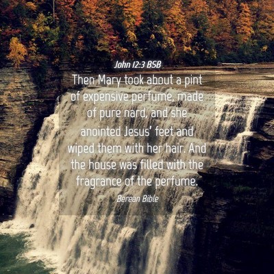 Picture 04 - John 12:3 BSB - Then Mary took about a pint of expensive perfume, - Bible Verse Picture