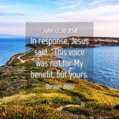 Picture 04 - John 12:30 BSB - In response, Jesus said, “This voice was not - Bible Verse Picture