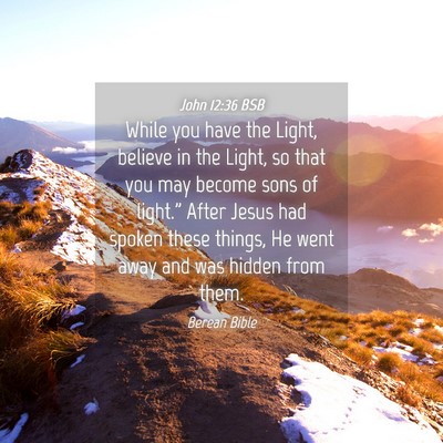 Picture 04 - John 12:36 BSB - While you have the Light, believe in the Light, - Bible Verse Picture