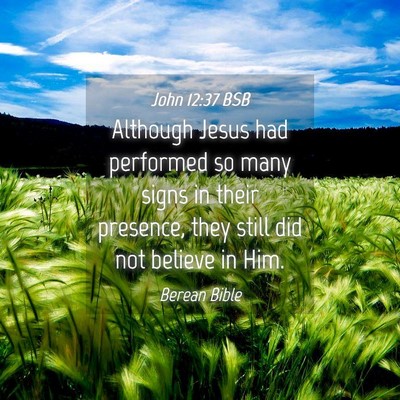 Picture 04 - John 12:37 BSB - Although Jesus had performed so many signs in - Bible Verse Picture