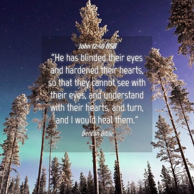 Picture 04 - John 12:40 BSB - “He has blinded their eyes and hardened their - Bible Verse Picture