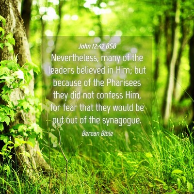 Picture 04 - John 12:42 BSB - Nevertheless, many of the leaders believed in - Bible Verse Picture