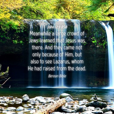 Picture 04 - John 12:9 BSB - Meanwhile a large crowd of Jews learned that - Bible Verse Picture