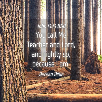 Picture 04 - John 13:13 BSB - You call Me Teacher and Lord, and rightly so, - Bible Verse Picture