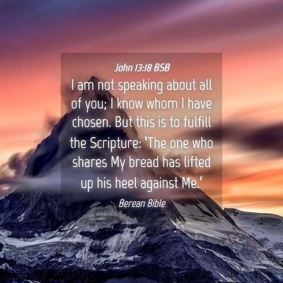 Picture 04 - John 13:18 BSB - I am not speaking about all of you; I know whom I - Bible Verse Picture