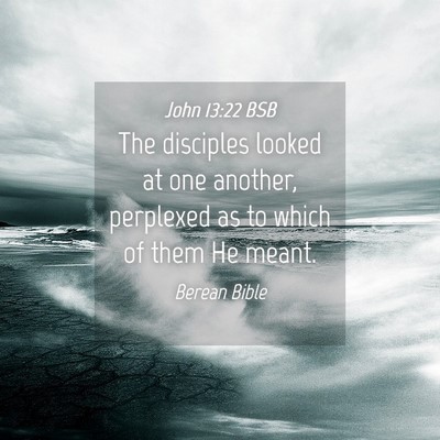 Picture 04 - John 13:22 BSB - The disciples looked at one another, perplexed as - Bible Verse Picture