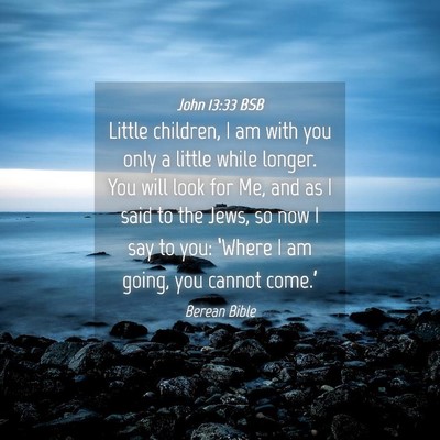 Picture 04 - John 13:33 BSB - Little children, I am with you only a little - Bible Verse Picture