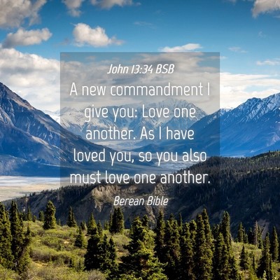 Picture 04 - John 13:34 BSB - A new commandment I give you: Love one another. - Bible Verse Picture