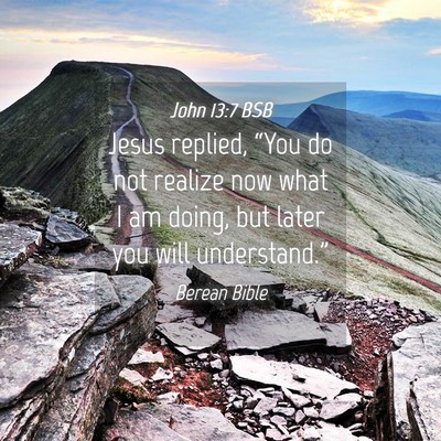 Picture 04 - John 13:7 BSB - Jesus replied, “You do not realize now what I - Bible Verse Picture