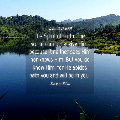 Picture 04 - John 14:17 BSB - the Spirit of truth. The world cannot receive - Bible Verse Picture