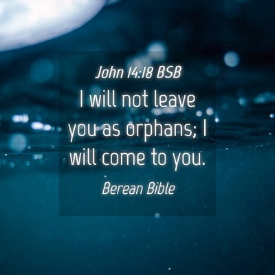 Picture 04 - John 14:18 BSB - I will not leave you as orphans; I will come to - Bible Verse Picture
