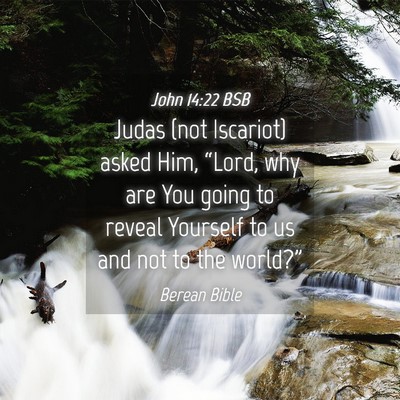Picture 04 - John 14:22 BSB - Judas (not Iscariot) asked Him, “Lord, why are - Bible Verse Picture