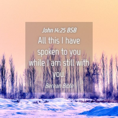 Picture 04 - John 14:25 BSB - All this I have spoken to you while I am still - Bible Verse Picture