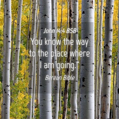Picture 04 - John 14:4 BSB - You know the way to the place where I am - Bible Verse Picture