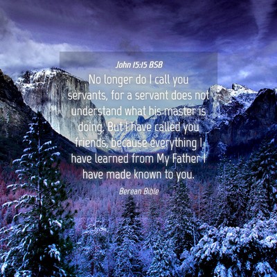 Picture 04 - John 15:15 BSB - No longer do I call you servants, for a servant - Bible Verse Picture