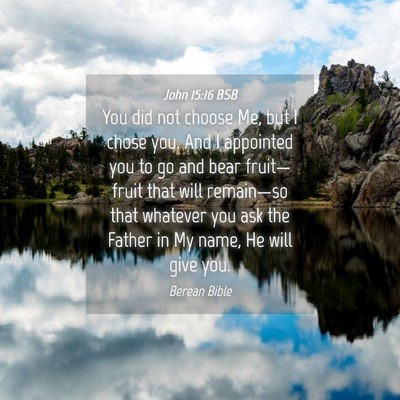 Picture 04 - John 15:16 BSB - You did not choose Me, but I chose you. And I - Bible Verse Picture