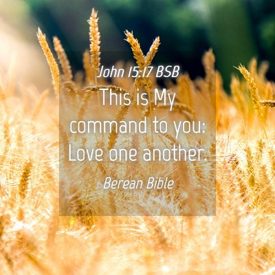 Picture 04 - John 15:17 BSB - This is My command to you: Love one - Bible Verse Picture