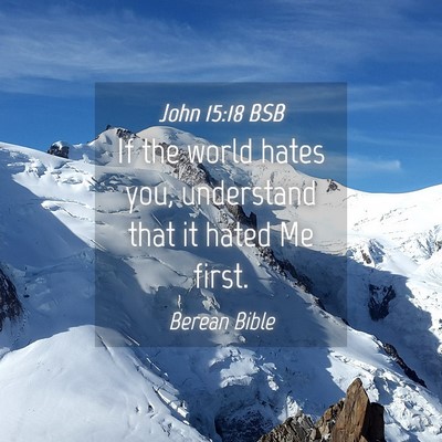 Picture 04 - John 15:18 BSB - If the world hates you, understand that it hated - Bible Verse Picture