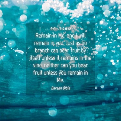 Picture 04 - John 15:4 BSB - Remain in Me, and I will remain in you. Just as - Bible Verse Picture